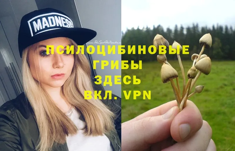 Галлюциногенные грибы Psilocybe  Полевской 